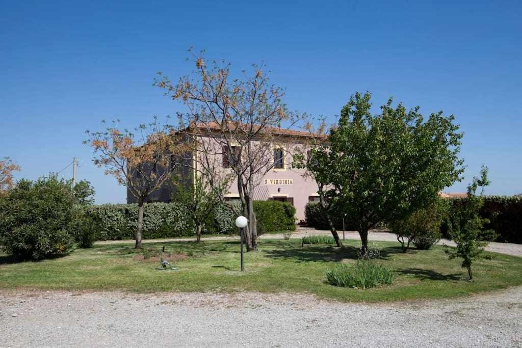 Agriturismo Podere Santa Virginia 阿尔比尼娅 外观 照片