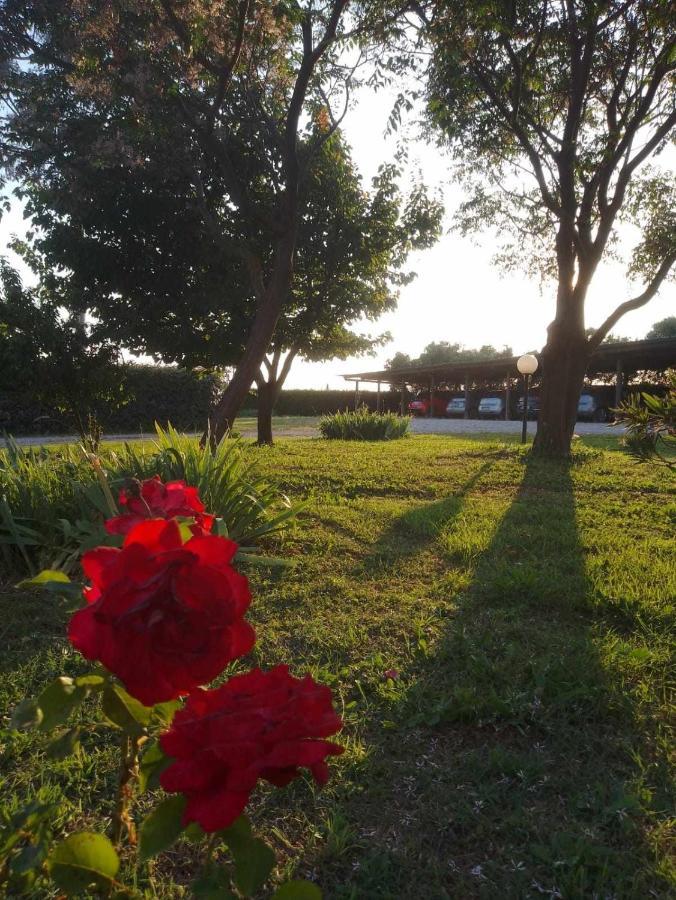 Agriturismo Podere Santa Virginia 阿尔比尼娅 外观 照片