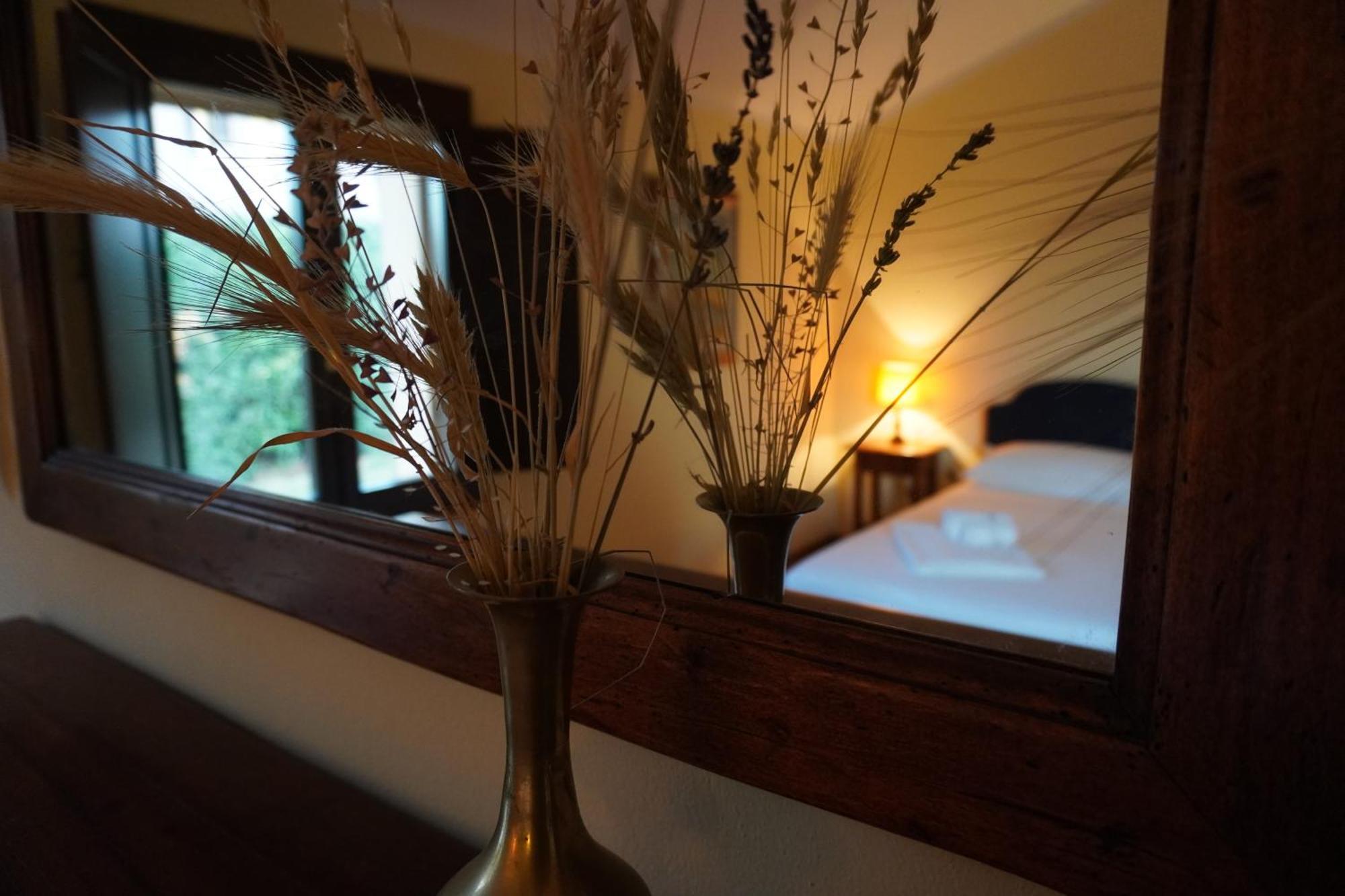 Agriturismo Podere Santa Virginia 阿尔比尼娅 外观 照片