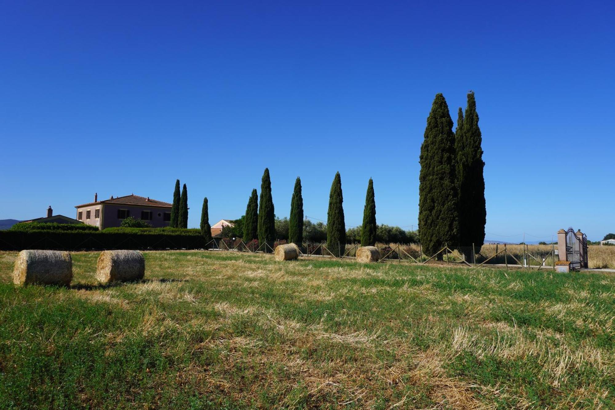 Agriturismo Podere Santa Virginia 阿尔比尼娅 外观 照片