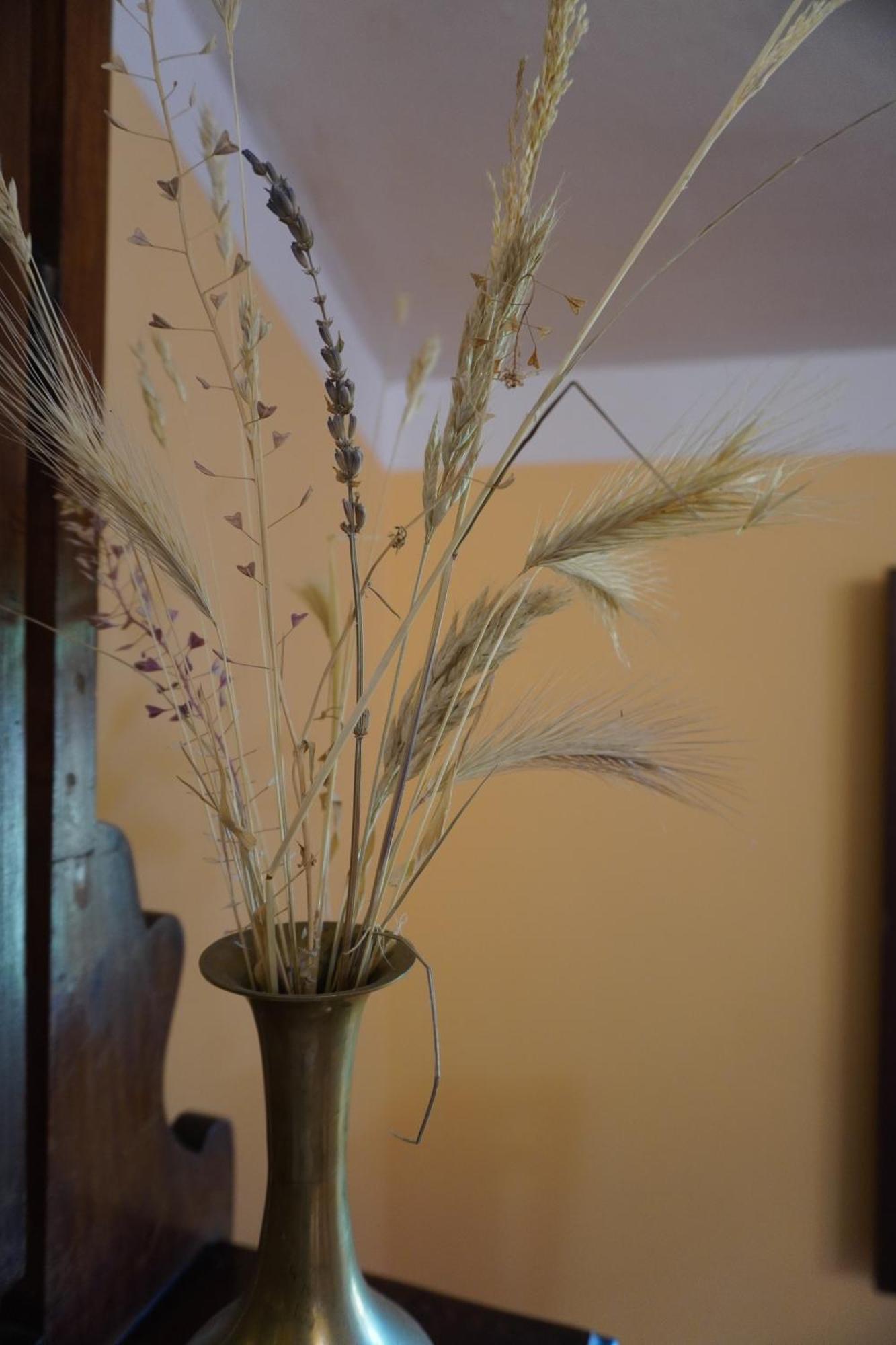 Agriturismo Podere Santa Virginia 阿尔比尼娅 外观 照片