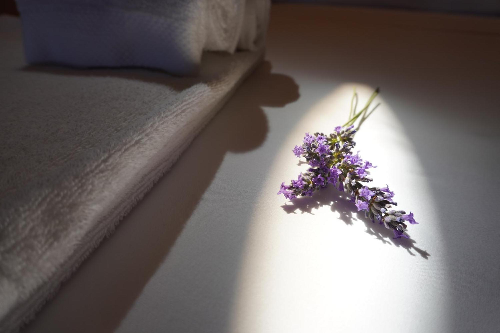 Agriturismo Podere Santa Virginia 阿尔比尼娅 外观 照片